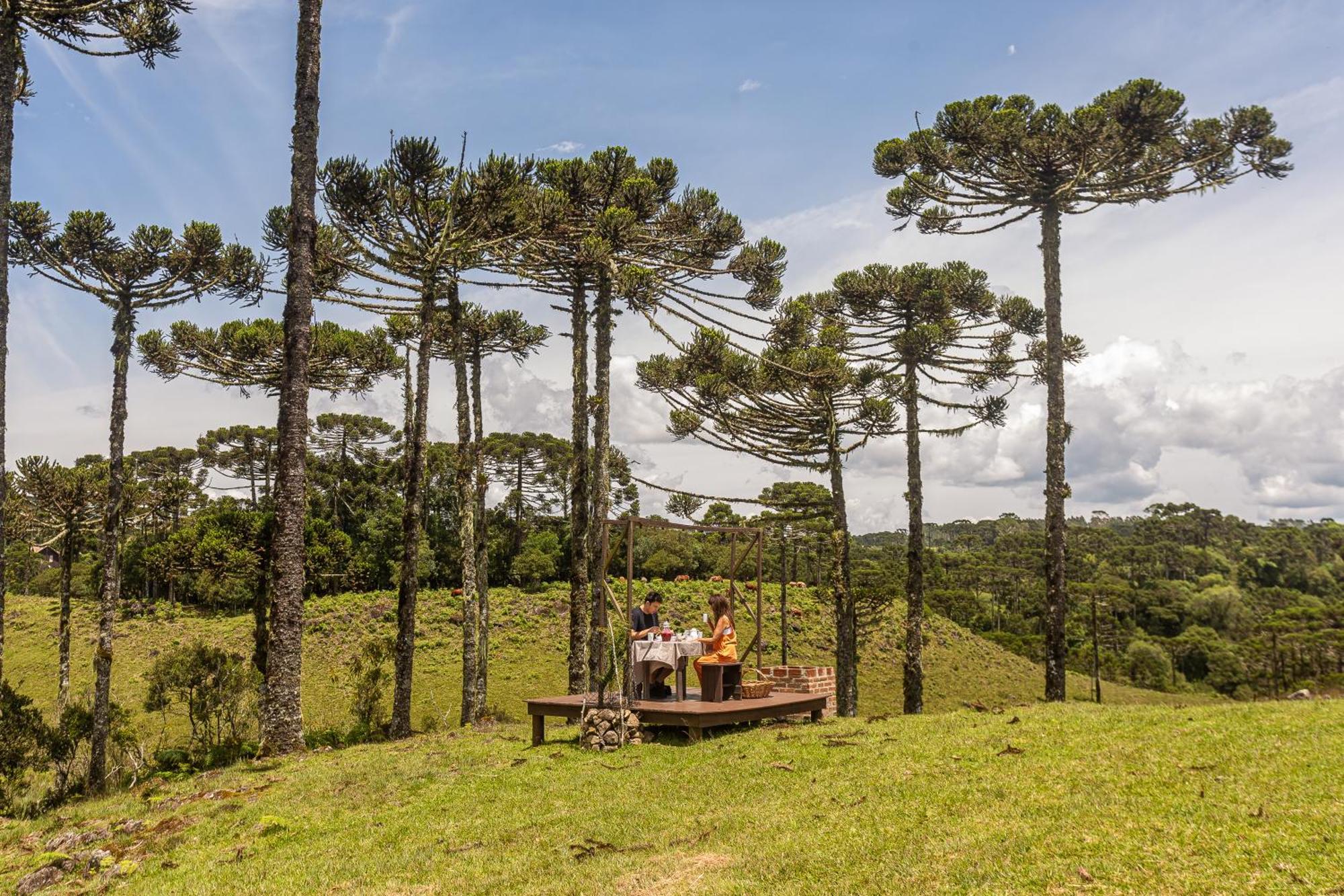 Brumas Casa De Campo - Cambara Do Sul Villa Bagian luar foto