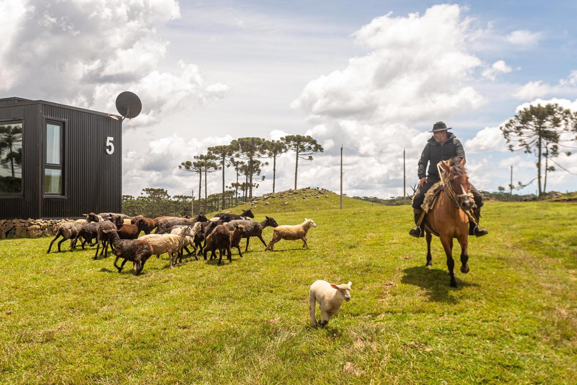 Brumas Casa De Campo - Cambara Do Sul Villa Bagian luar foto